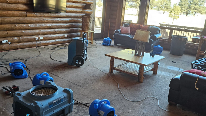 Water Restoration Services